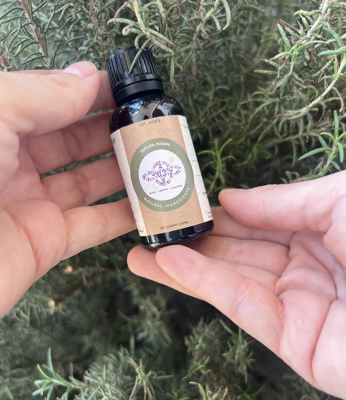 Tintura madre de Árnica